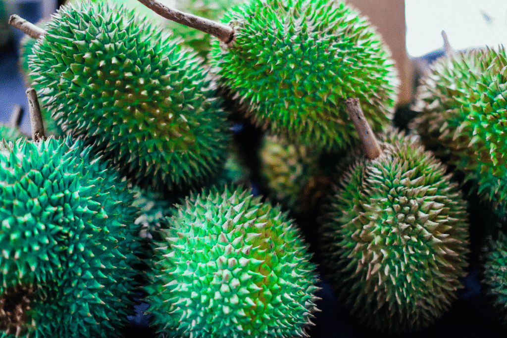 Durian fruit with benefits in Hindi and English – King of Fruits