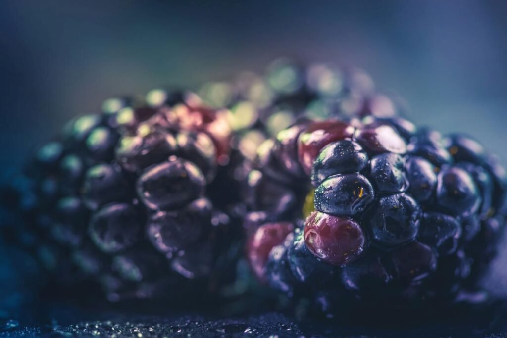 Boysenberry Benefits in Hindi – बॉयसनबेरी के स्वास्थ्य लाभ