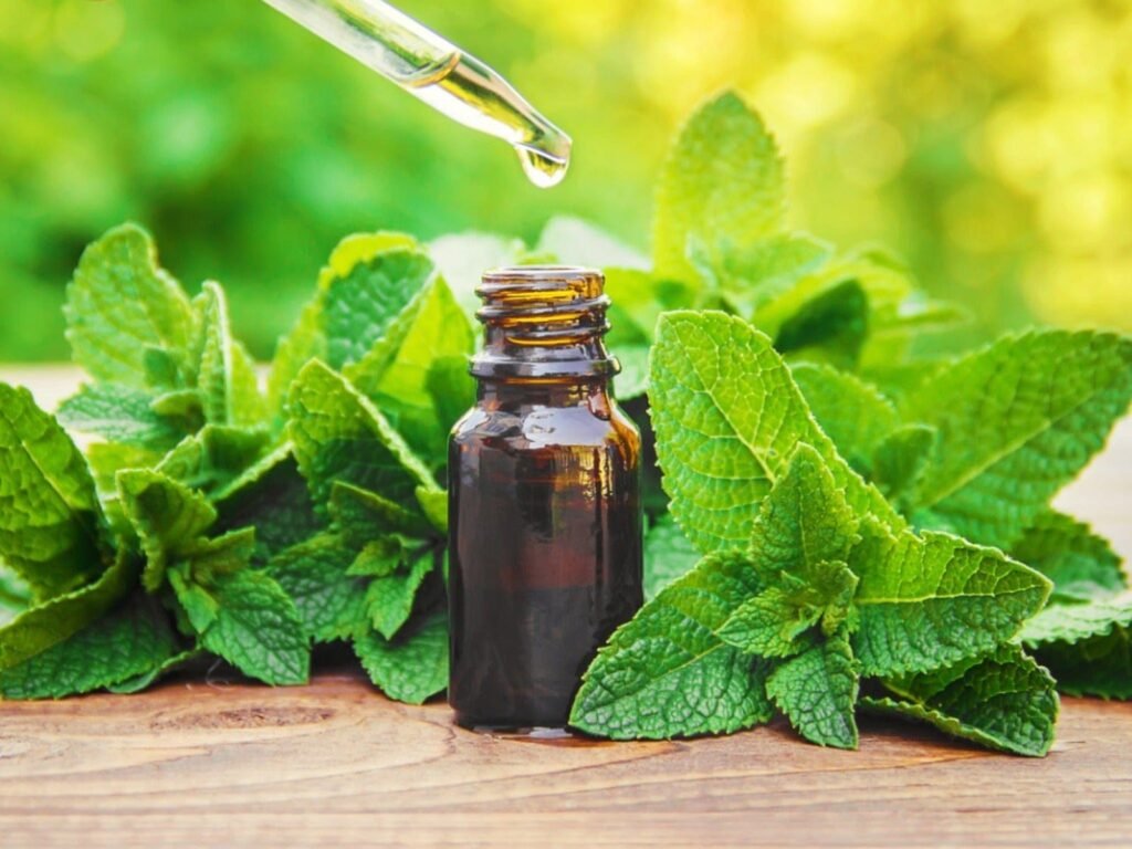 🌿 Padeena ke Chamatkari Fayde | Mint Benefits in Hindi-English | पुदीना के अद्भुत फायदे
