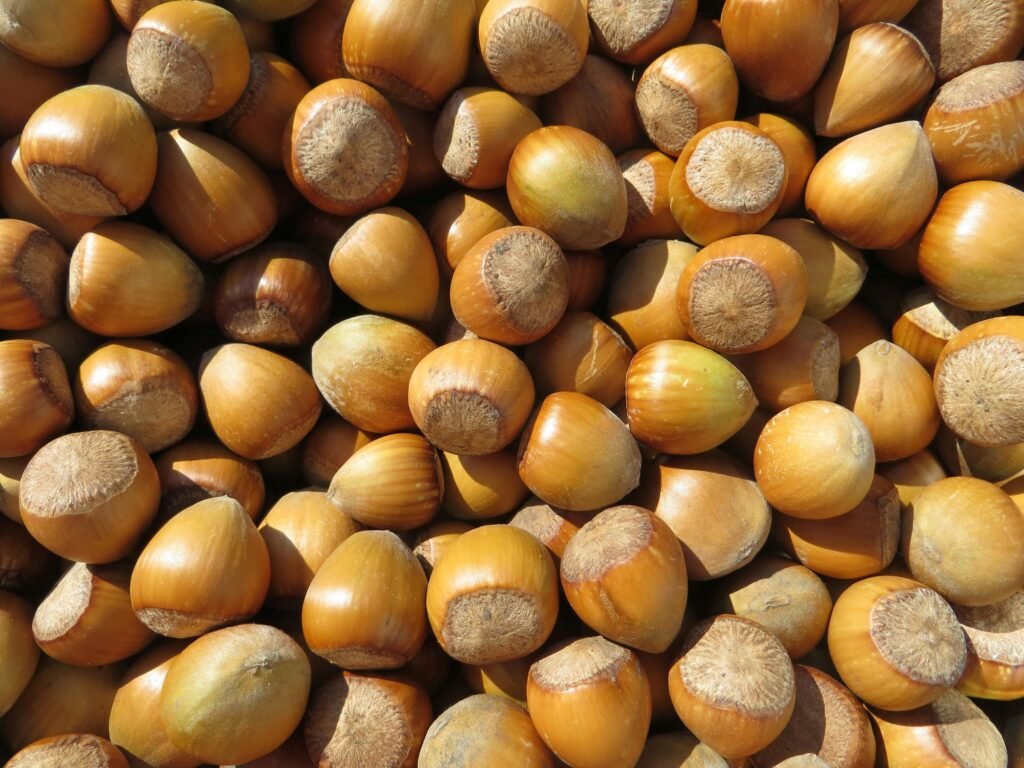 *Hazelnut Benefits in Hindi