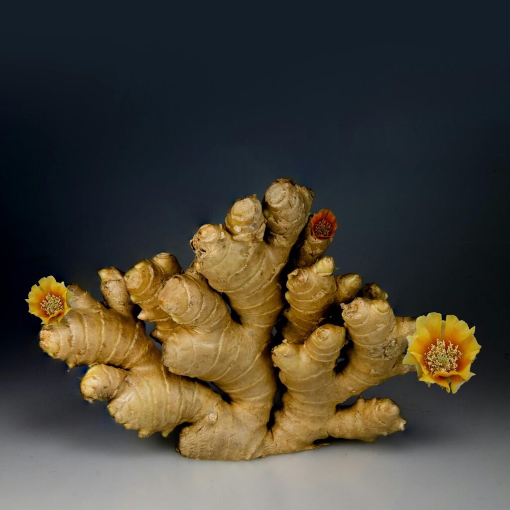 "Adrak ke Fayde | Ginger Health Benefits in Hindi-English | Ayurvedic Remedy for Digestion and Cold"