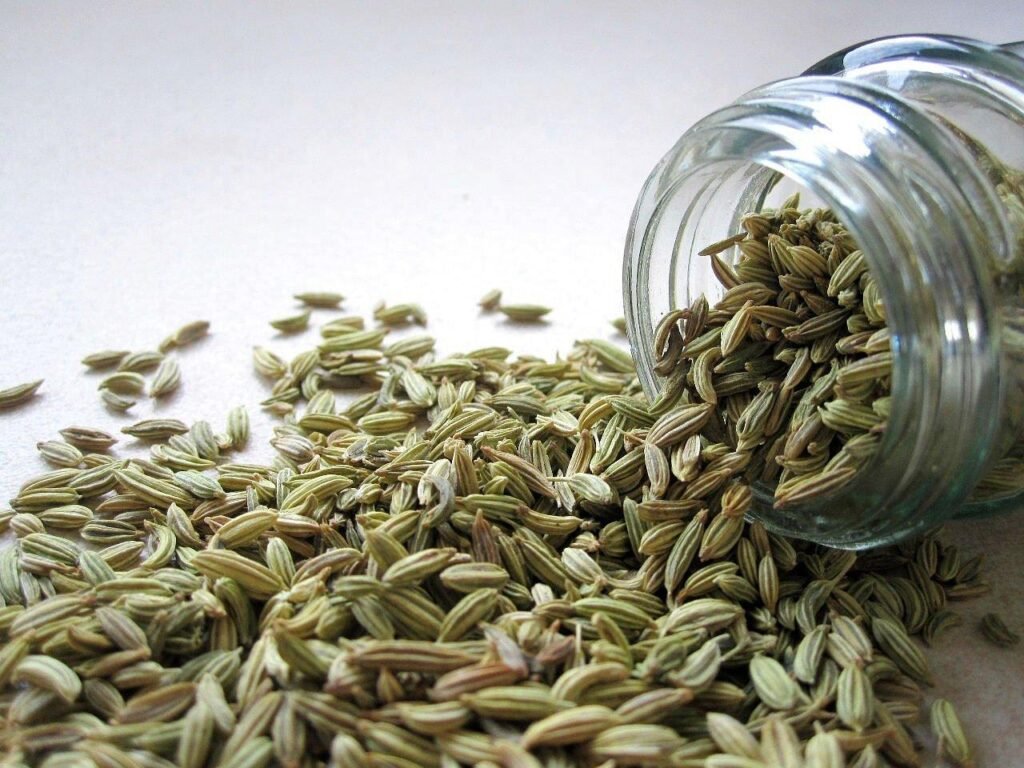 Fennel seeds benefits for digestion – सौंफ खाने के फायदे पाचन के लिए