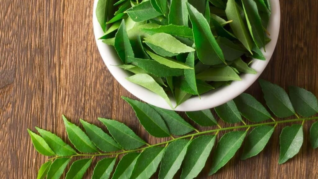 Fresh curry leaves health benefits in Hindi-English