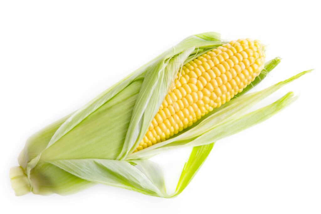 🌽 Corn Benefits in Hindi – Digestion, Immunity & Vision Health